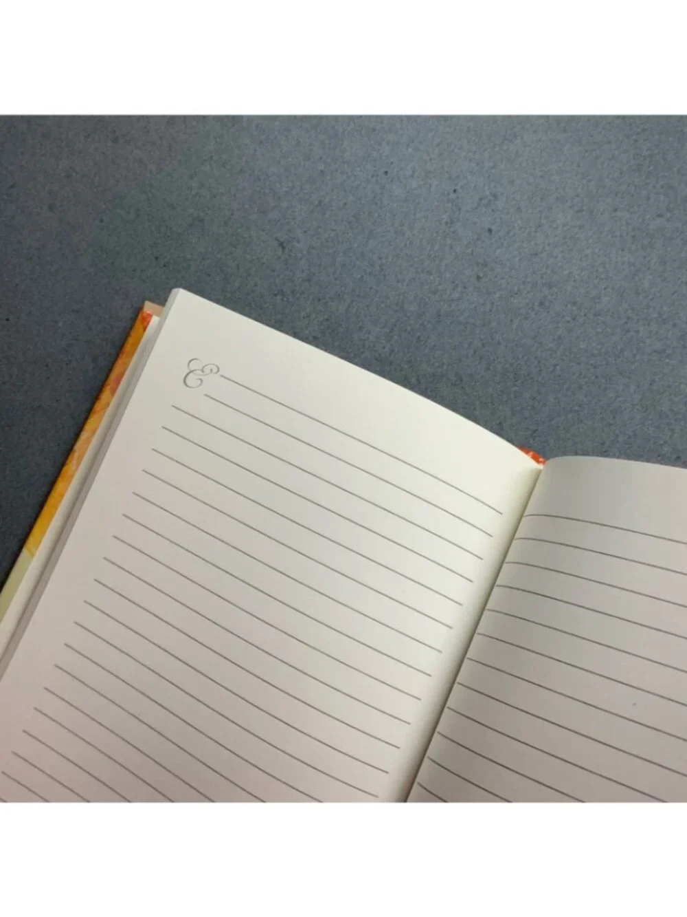 Van Gogh delightful journal